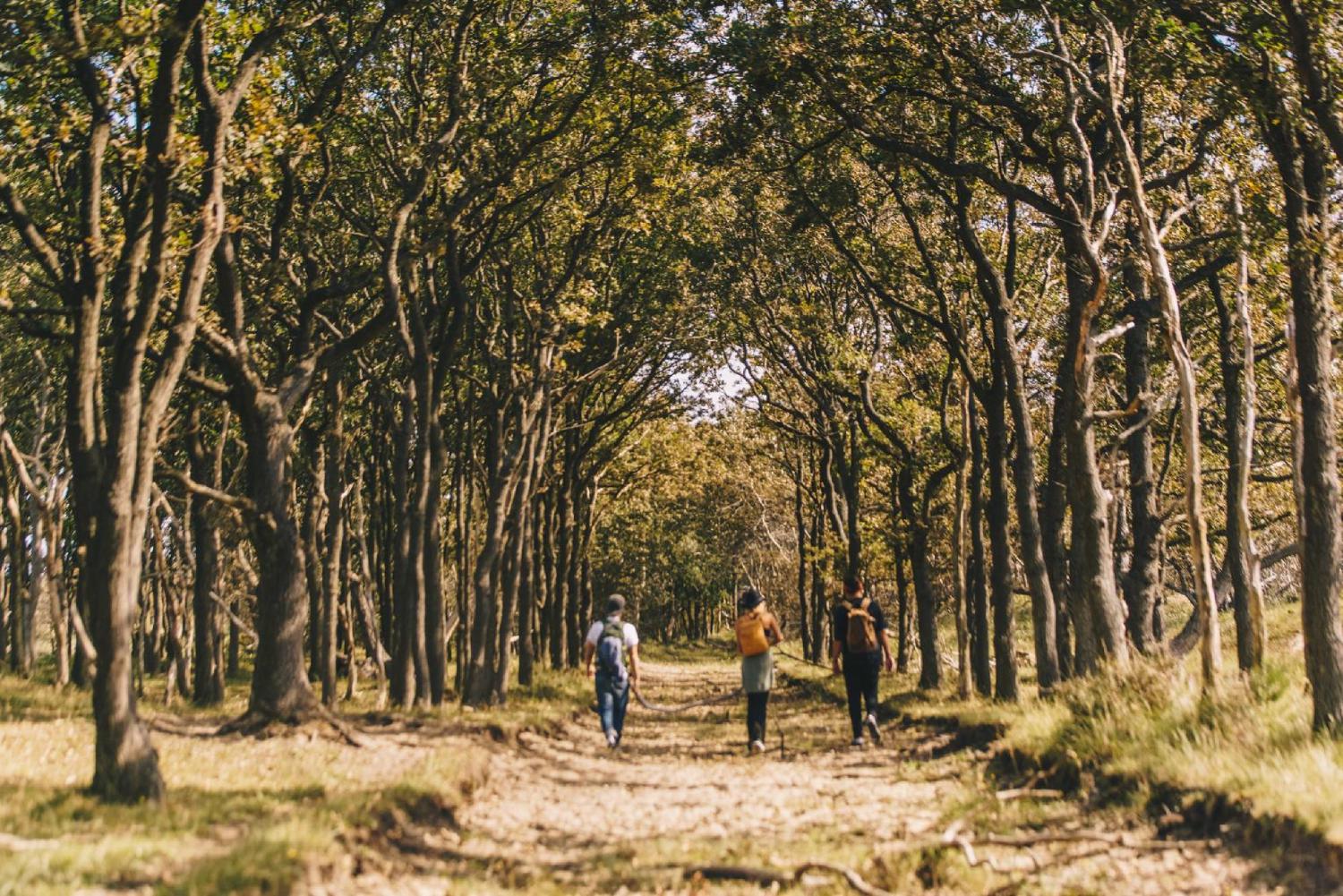 Ontdek het Kennemerland