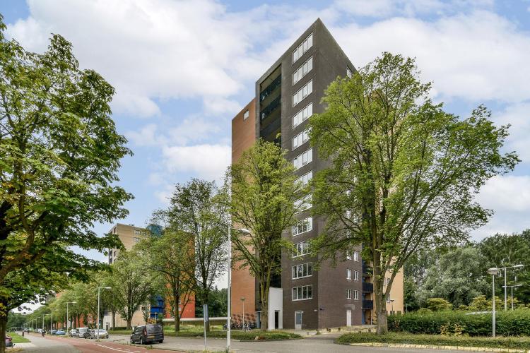 
    Wittgensteinlaan 1 |Amsterdam

