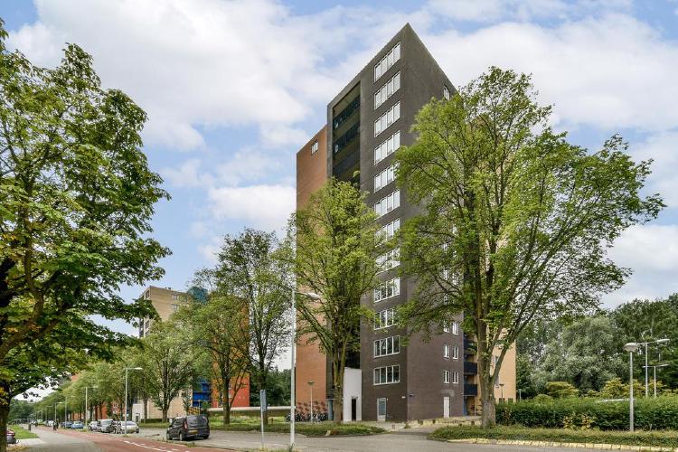 
    Wittgensteinlaan 1 |Amsterdam
