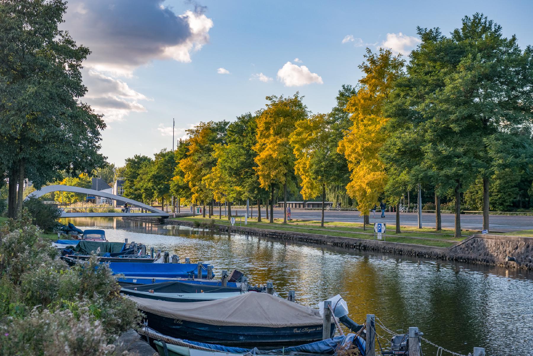 AMSTERDAM Barentszstraat 232 image 16