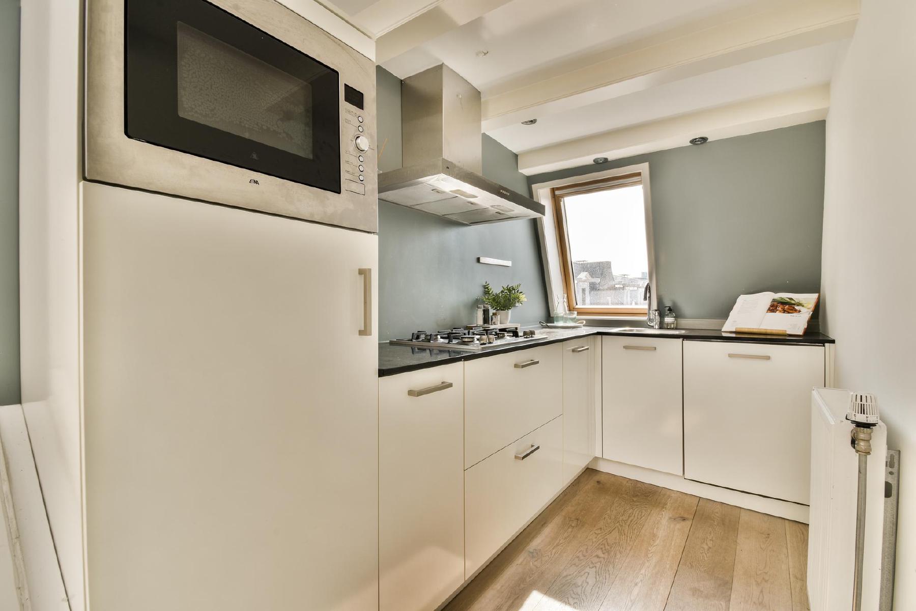 AMSTERDAM Tweede Hugo de Grootstraat 42-4image 7