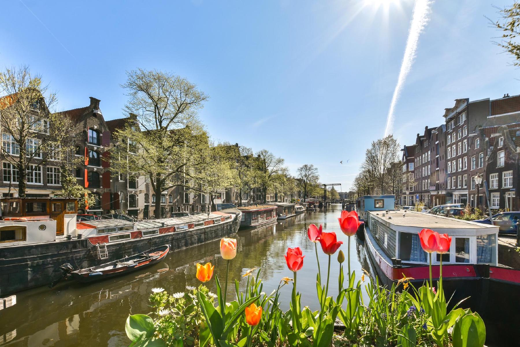 AMSTERDAM Palmgracht 4-1image 16