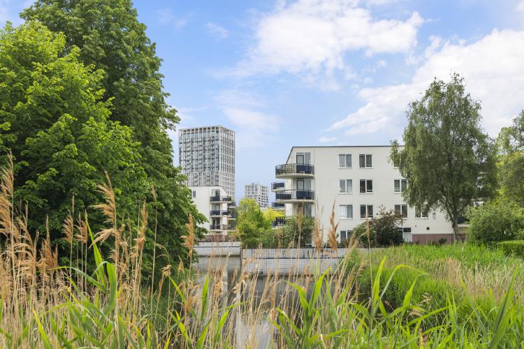 Gutserstraat 59 |Amsterdam