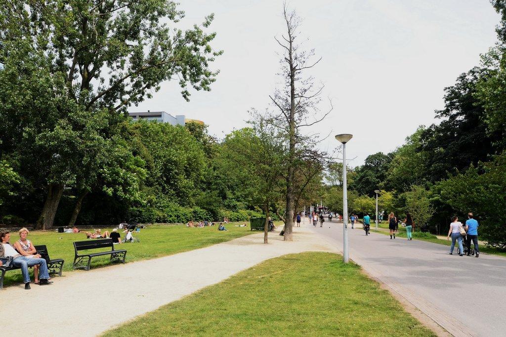 AMSTERDAM Vossiusstraat 76 image 37