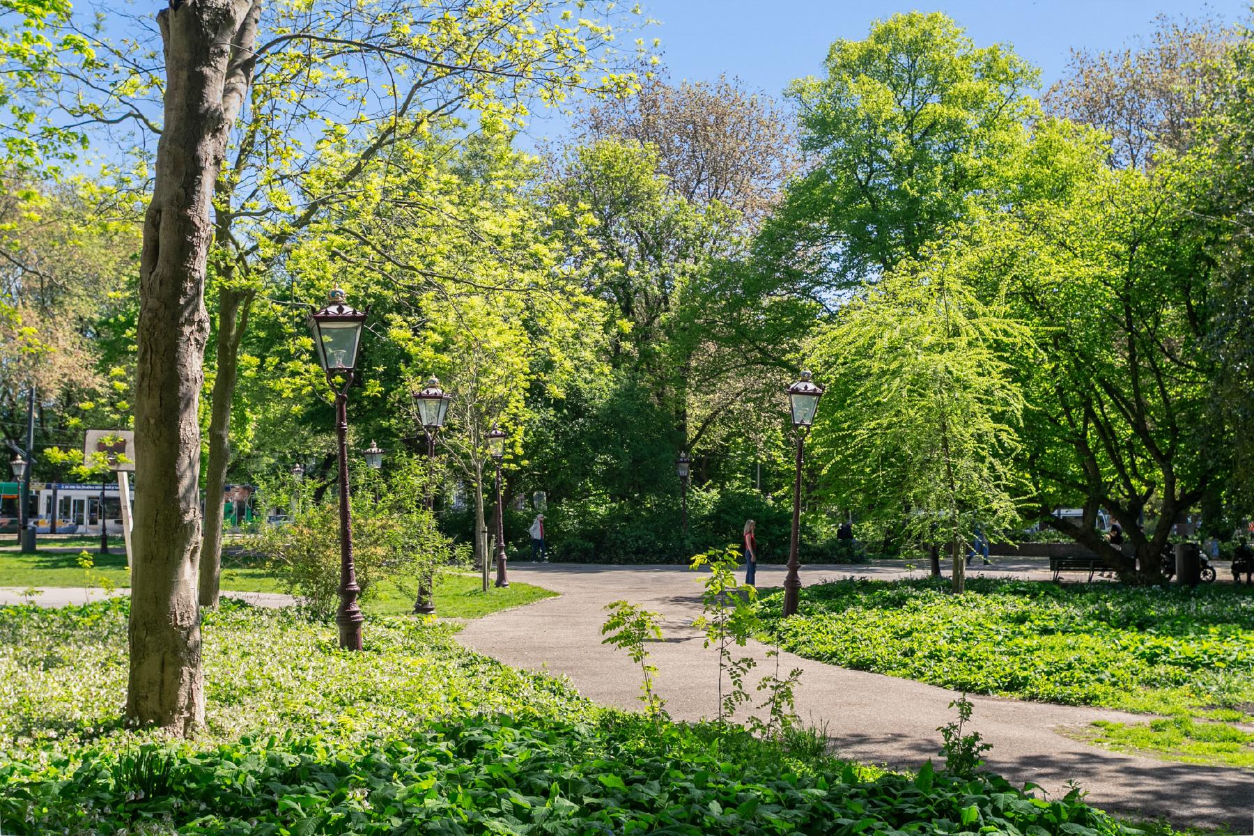 AMSTERDAM Utrechtsedwarsstraat 126 Himage 19