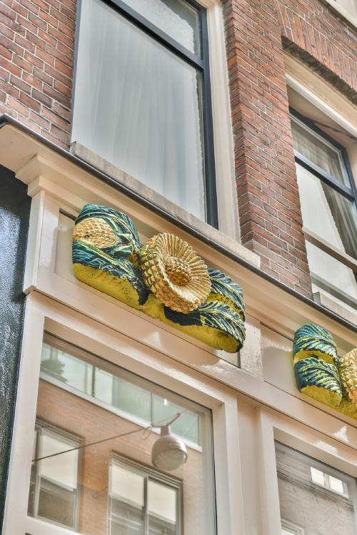 Goudsbloemstraat 107 D|Amsterdam