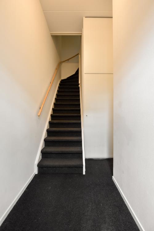 
    Insulindeweg 9 A|Amsterdam
