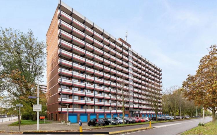 
    H. Cleyndertweg 667 |Amsterdam
