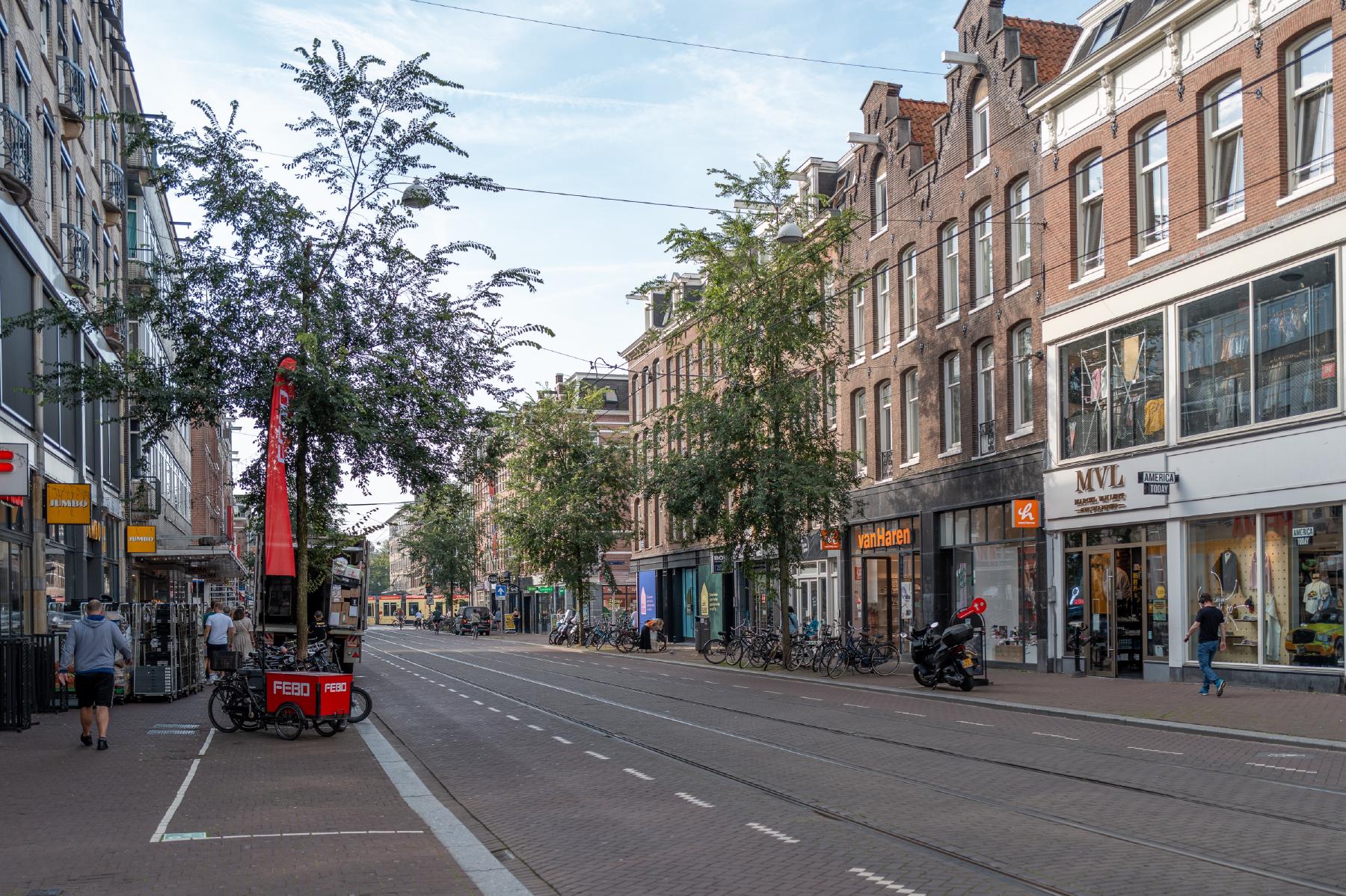 AMSTERDAM Van Ostadestraat 13 1Aimage 14