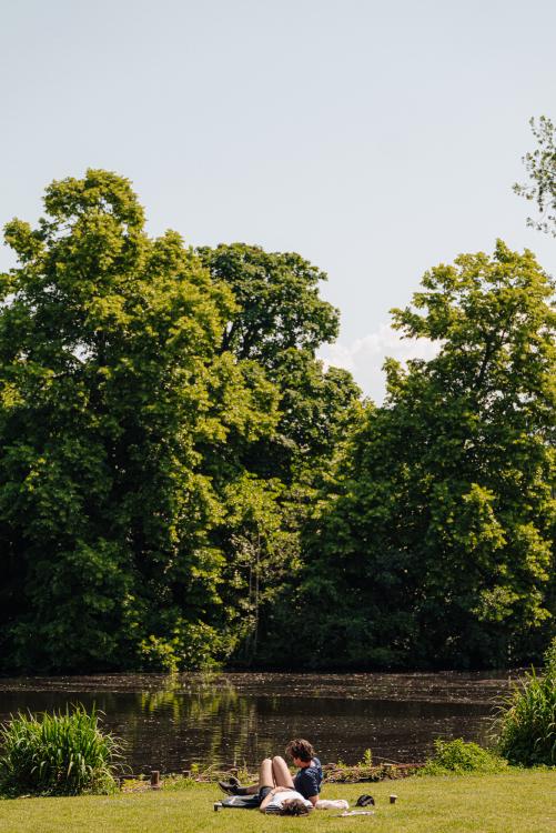 
    <nil><span>|</span>
image 82