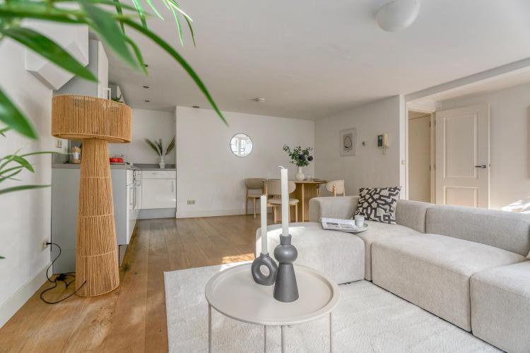 
    <nil><span>|</span>
image 7