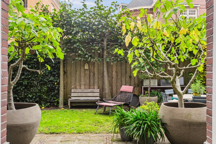 
    <nil><span>|</span>
image 31