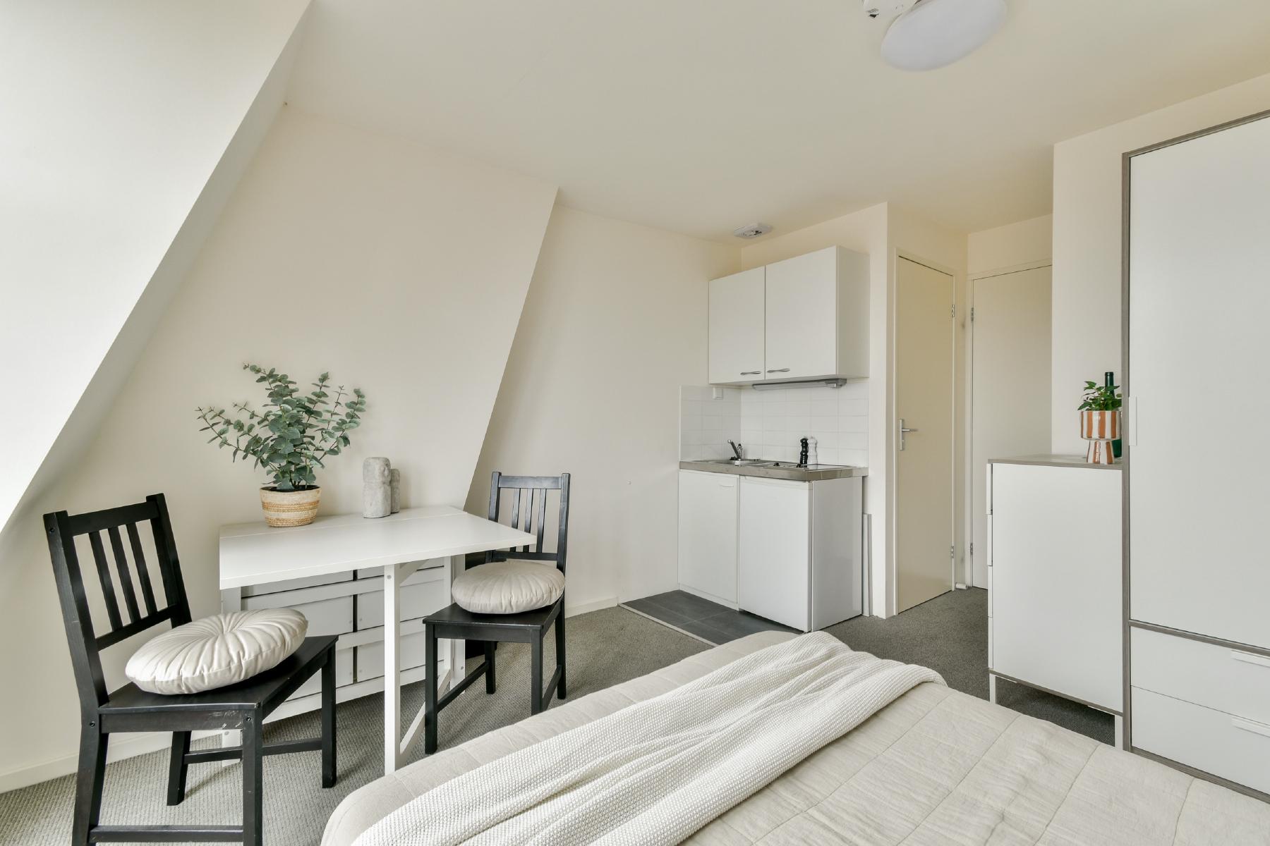 AMSTERDAM Roelof Hartstraat 38-3image 29