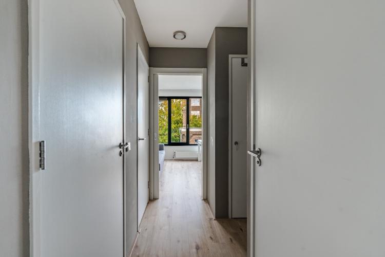 
    <nil><span>|</span>
image 8