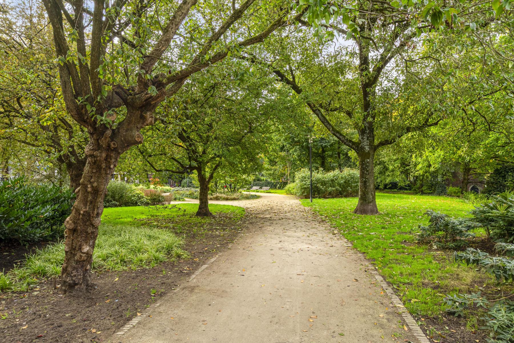 AMSTERDAM Hugo de Grootkade 66 Bimage 33