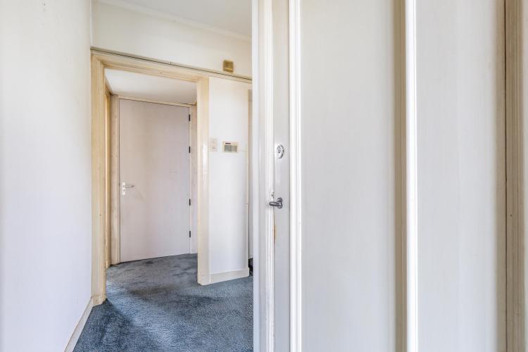 
    <nil><span>|</span>
image 18