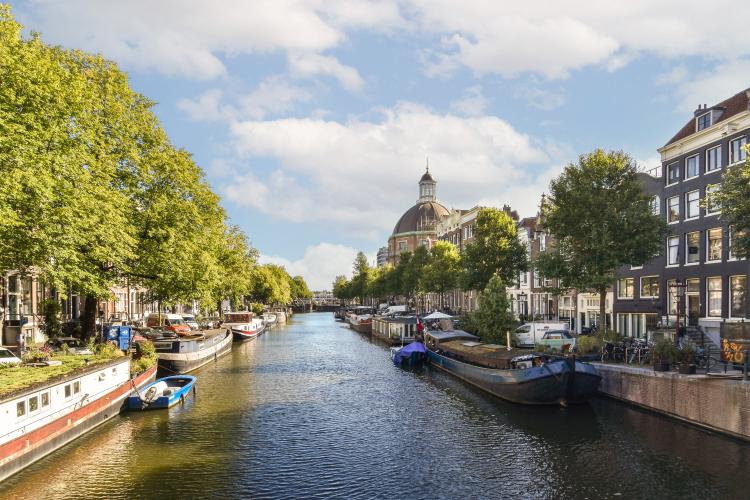 
    <nil><span>|</span>
image 8