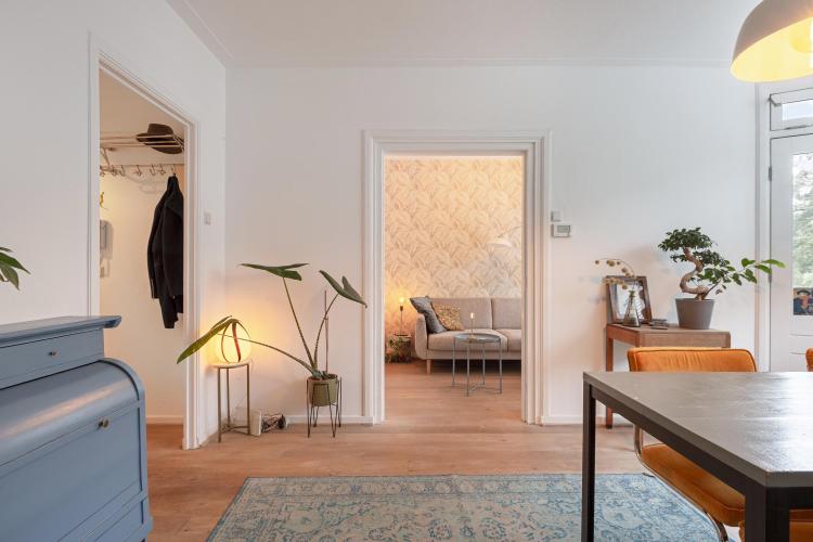 
    <nil><span>|</span>
image 4