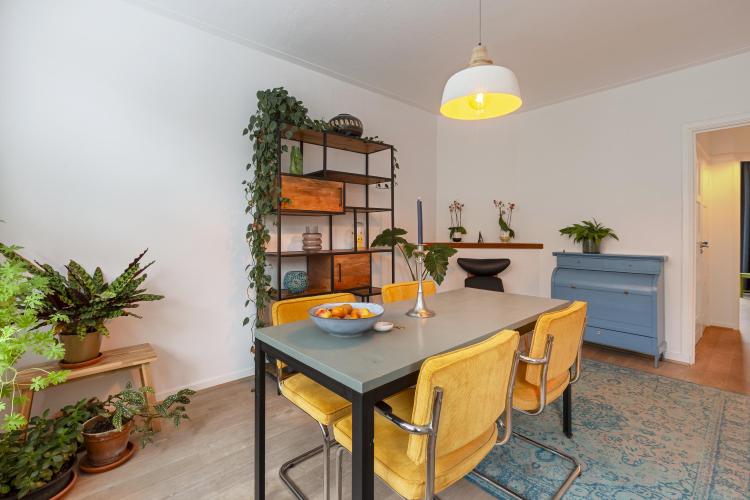 
    <nil><span>|</span>
image 7