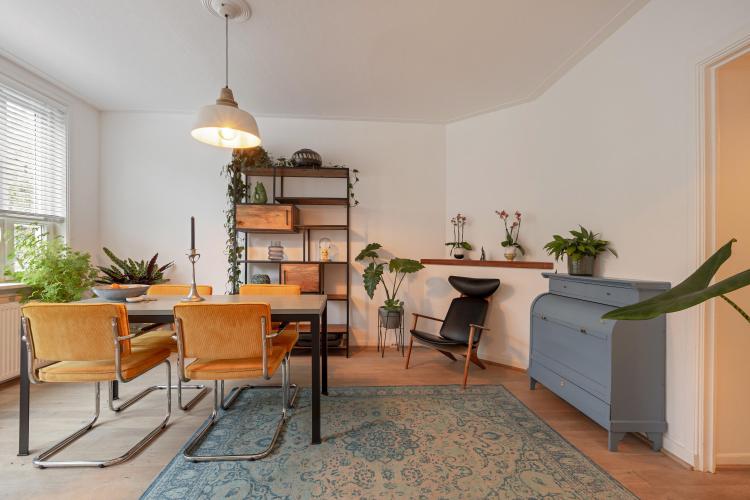 
    <nil><span>|</span>
image 8