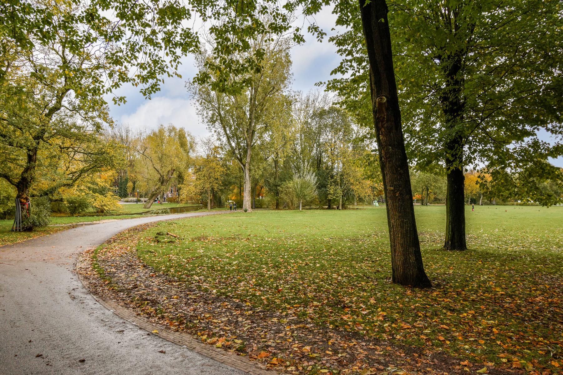 AMSTERDAM Tilanusstraat 344 image 21