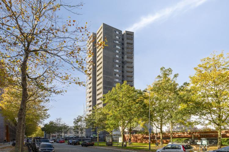 
    <nil><span>|</span>
image 29