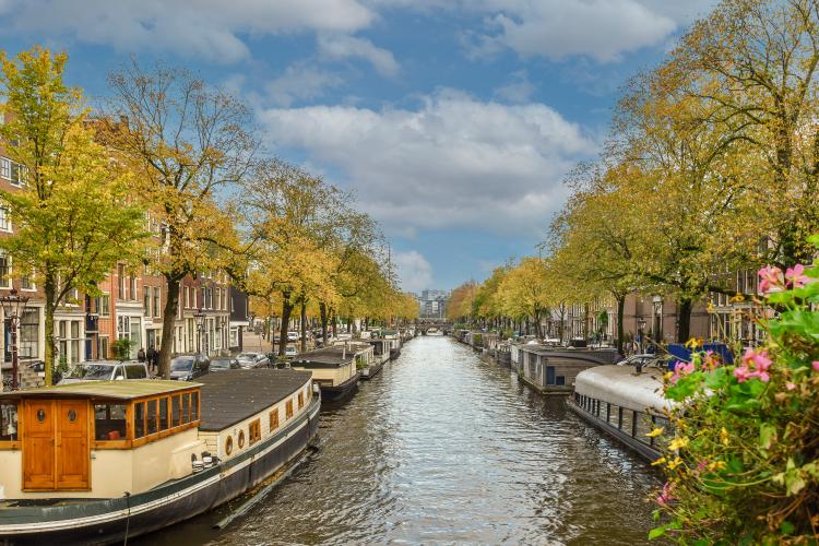 
    <nil><span>|</span>
image 27