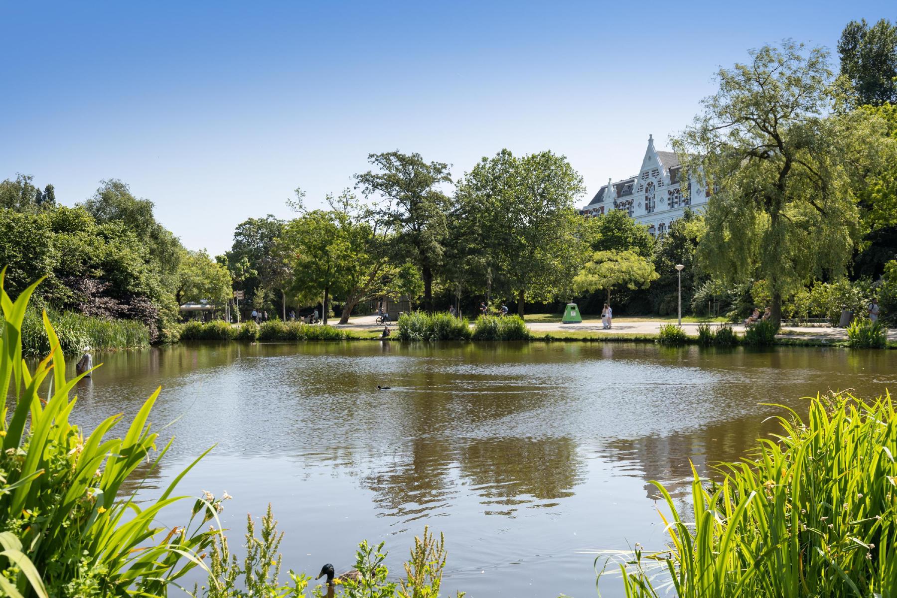 AMSTERDAM Van Eeghenstraat 12 Himage 31