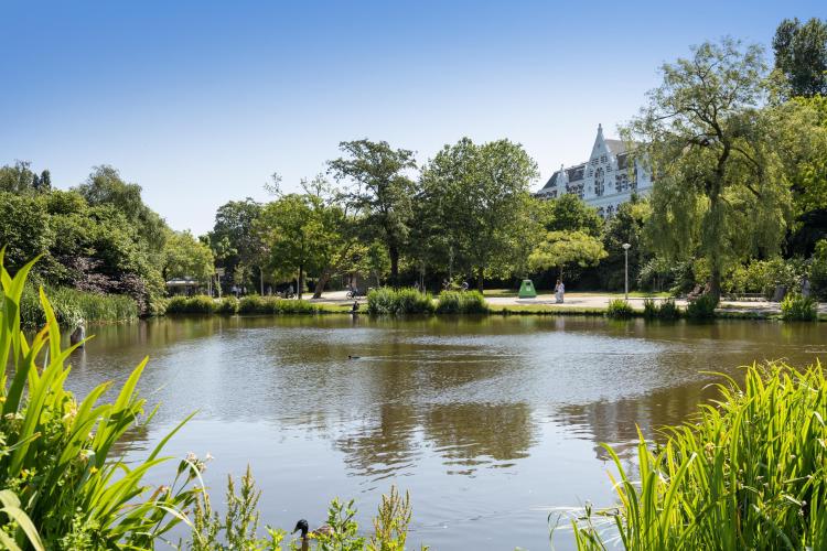 
    <nil><span>|</span>
image 31