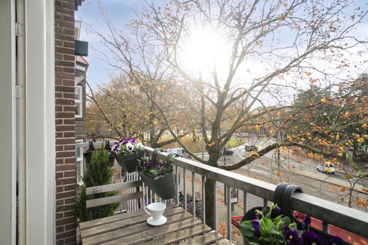 
    <nil><span>|</span>
image 30