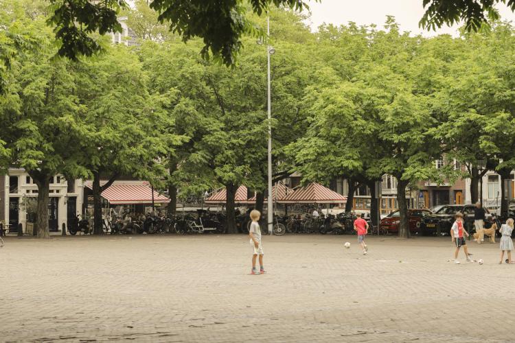 
    <nil><span>|</span>
image 29