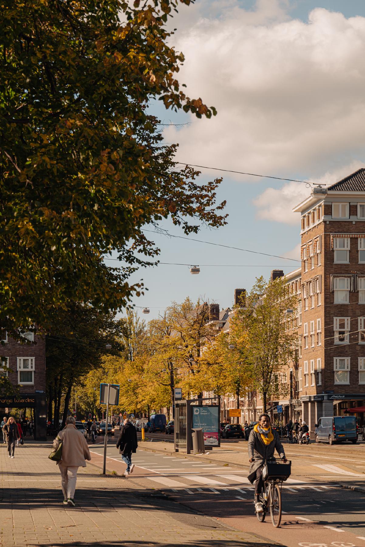 AMSTERDAM Tintorettostraat 19-1image 31