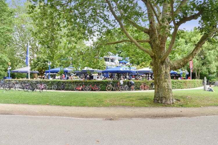 
    <nil><span>|</span>
image 26