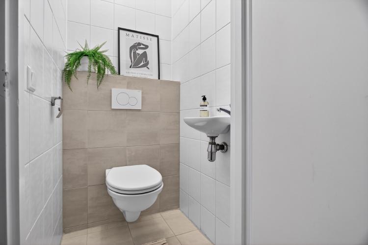 
    <nil><span>|</span>
image 15