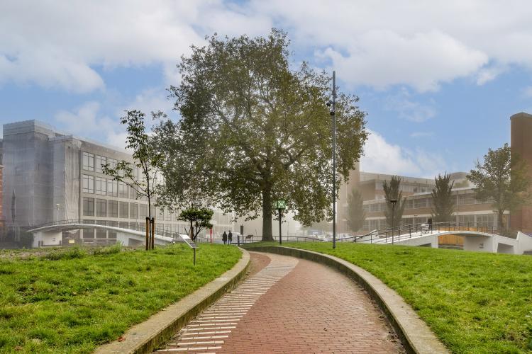 
    <nil><span>|</span>
image 15