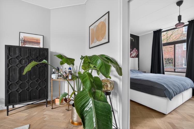 
    <nil><span>|</span>
image 8