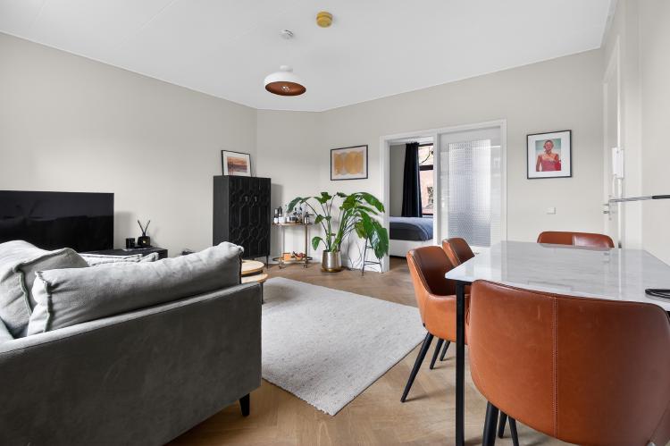 
    <nil><span>|</span>
image 7