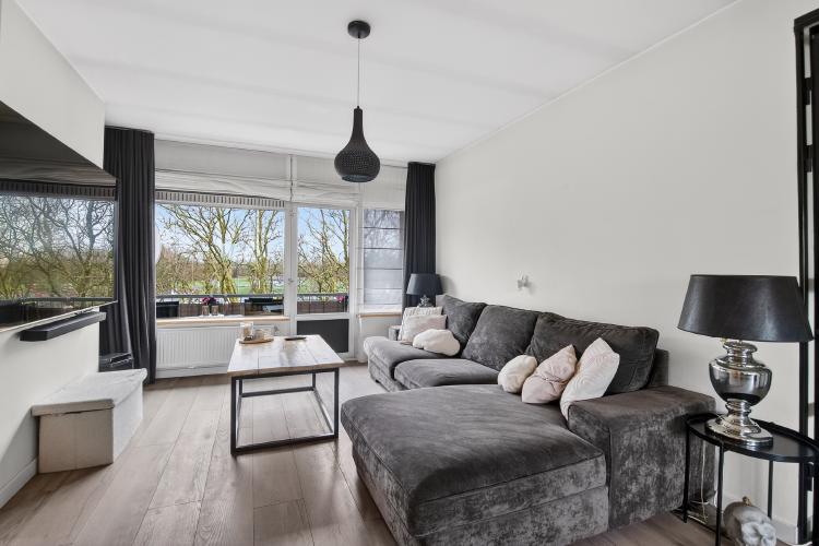 
    <nil><span>|</span>
image 3