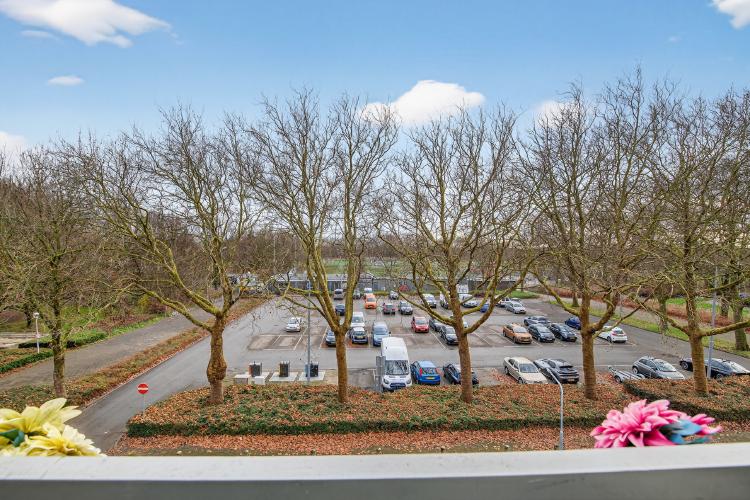 
    <nil><span>|</span>
image 11