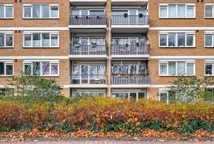 
    <nil><span>|</span>
image 24