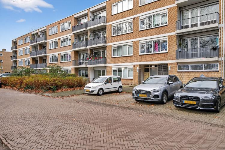 
    <nil><span>|</span>
image 25