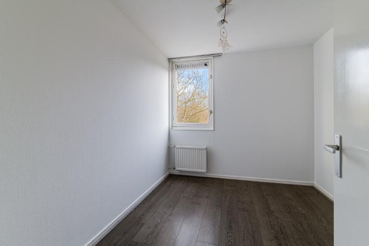 
    <nil><span>|</span>
image 12