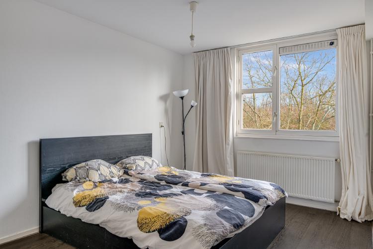 
    <nil><span>|</span>
image 13