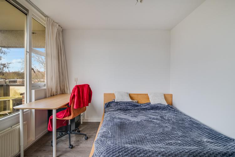 
    <nil><span>|</span>
image 16