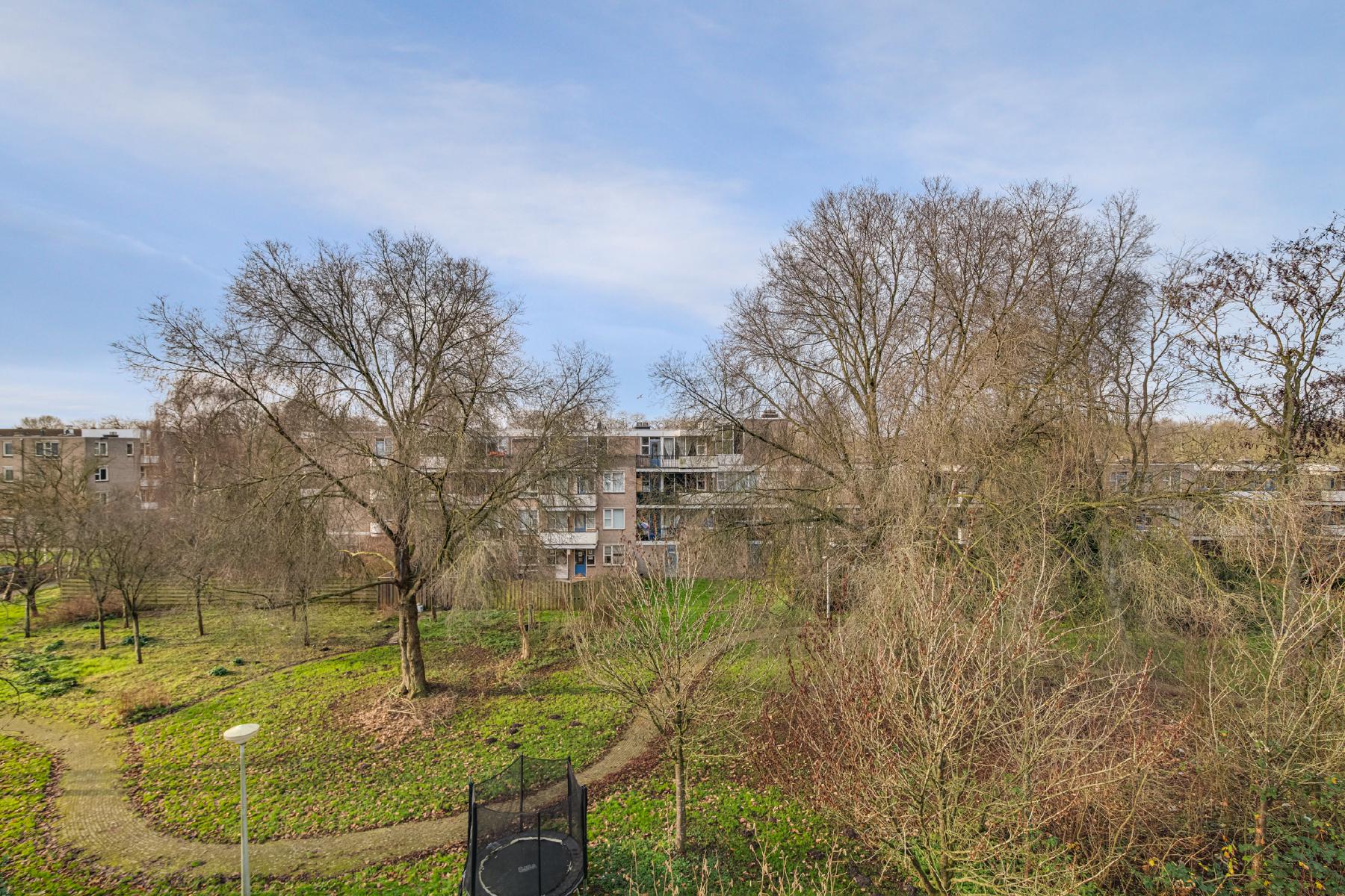 AMSTERDAM Wamelstraat 135 image 5