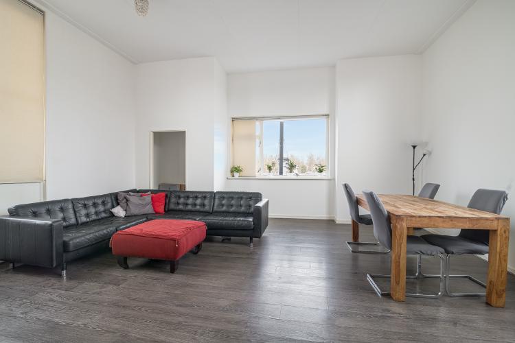 
    <nil><span>|</span>
image 8