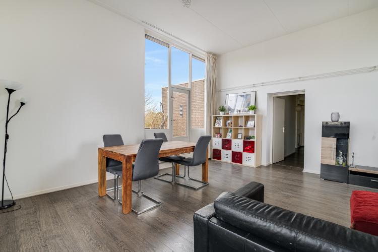 
    <nil><span>|</span>
image 7