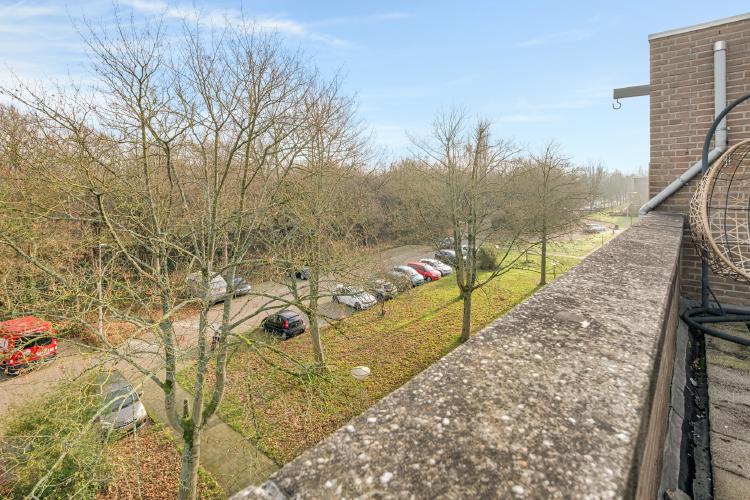 
    <nil><span>|</span>
image 19