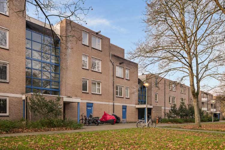 
    <nil><span>|</span>
image 23