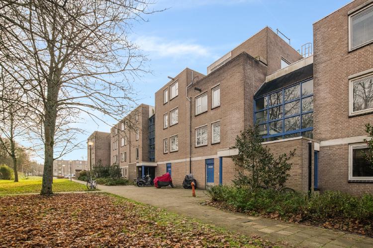 
    <nil><span>|</span>
image 24